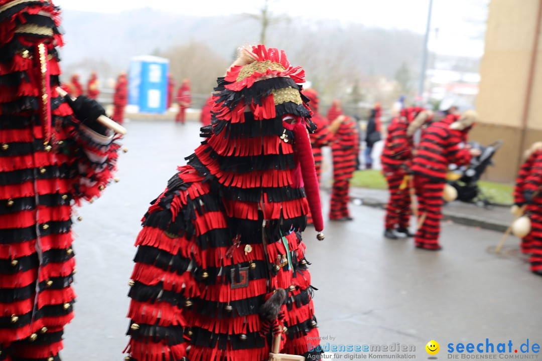 Fasnet Festumzug mit Motivwagen : Stockach am Bodensee, 01.02.2015