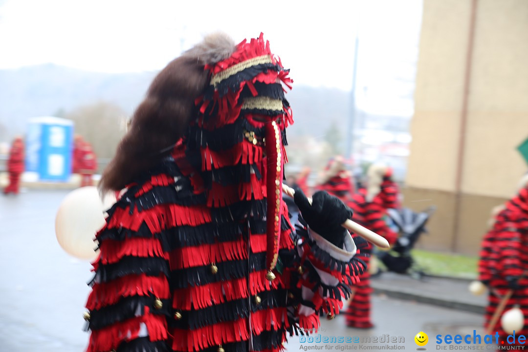 Fasnet Festumzug mit Motivwagen : Stockach am Bodensee, 01.02.2015