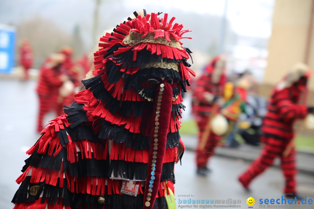 Fasnet Festumzug mit Motivwagen : Stockach am Bodensee, 01.02.2015