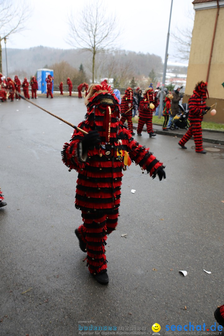 Fasnet Festumzug mit Motivwagen : Stockach am Bodensee, 01.02.2015