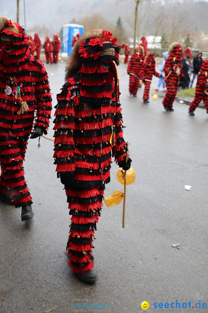 Fasnet Festumzug mit Motivwagen : Stockach am Bodensee, 01.02.2015