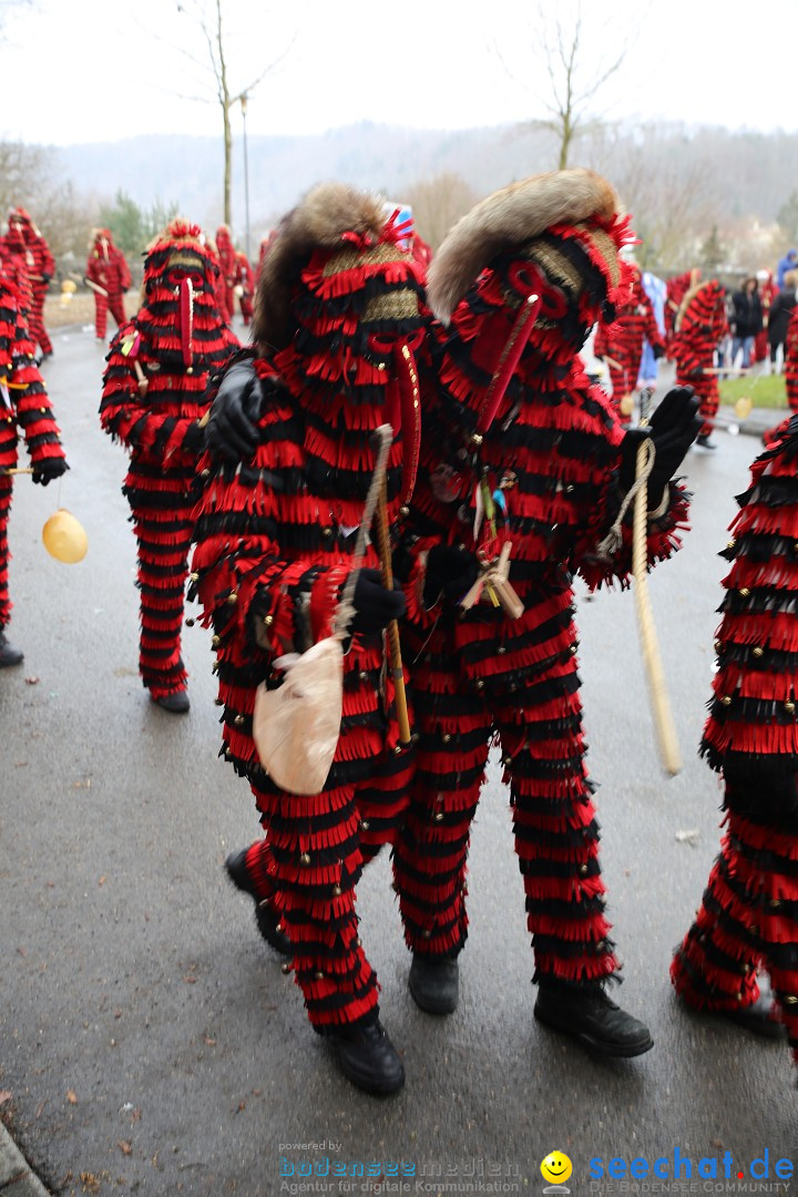 Fasnet Festumzug mit Motivwagen : Stockach am Bodensee, 01.02.2015