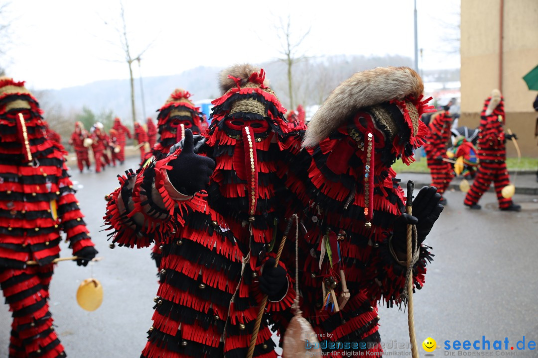 Fasnet Festumzug mit Motivwagen : Stockach am Bodensee, 01.02.2015