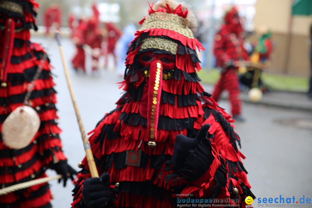 Fasnet Festumzug mit Motivwagen : Stockach am Bodensee, 01.02.2015