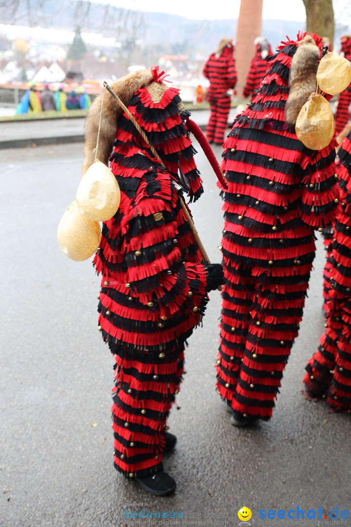 Fasnet Festumzug mit Motivwagen : Stockach am Bodensee, 01.02.2015