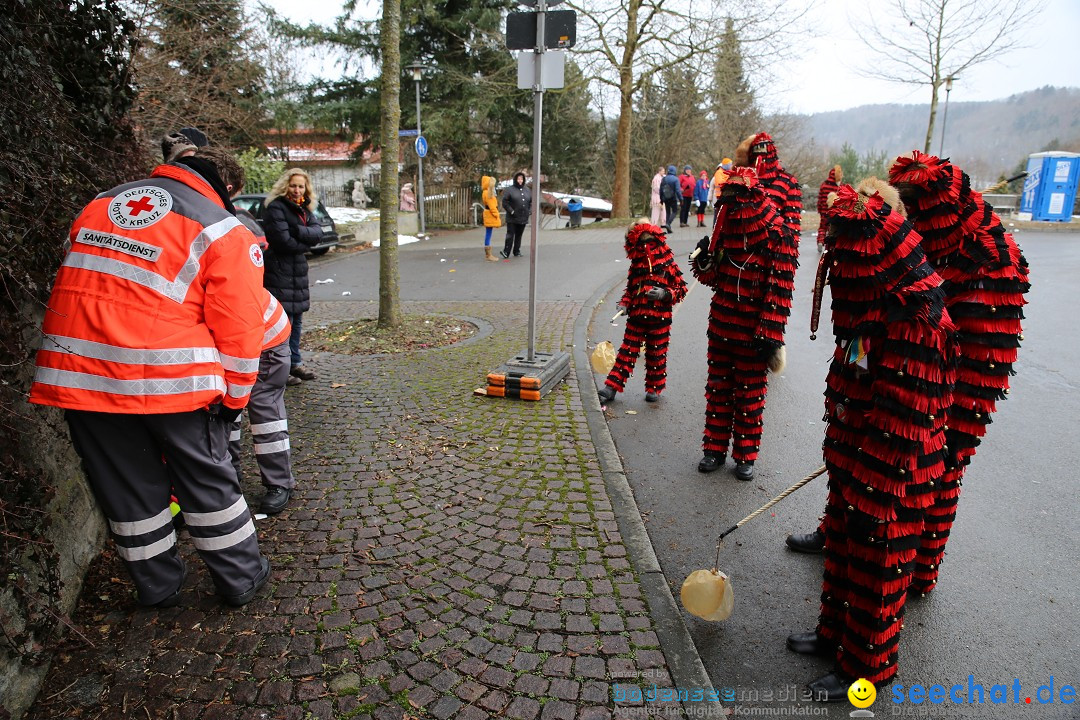 Fasnet Festumzug mit Motivwagen : Stockach am Bodensee, 01.02.2015