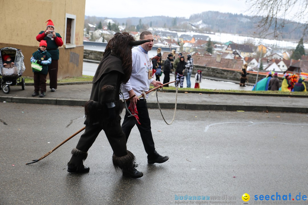 Fasnet Festumzug mit Motivwagen : Stockach am Bodensee, 01.02.2015