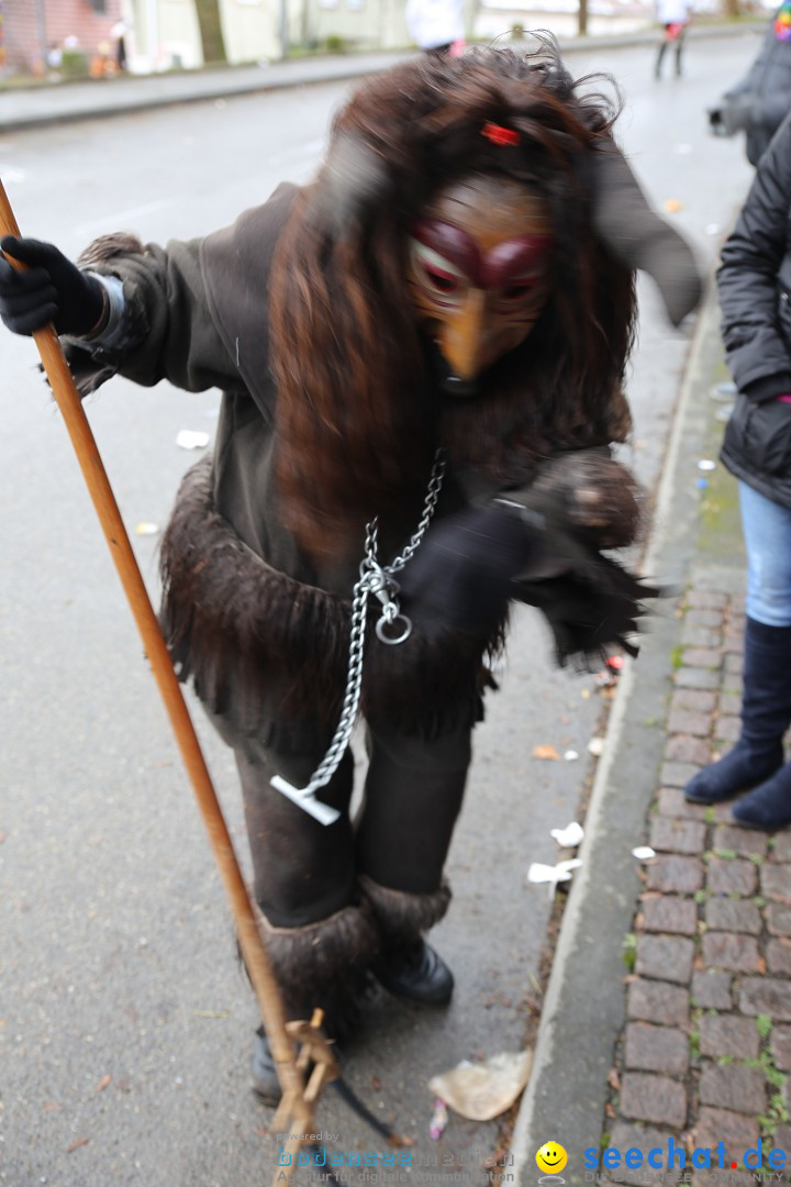 Fasnet Festumzug mit Motivwagen : Stockach am Bodensee, 01.02.2015