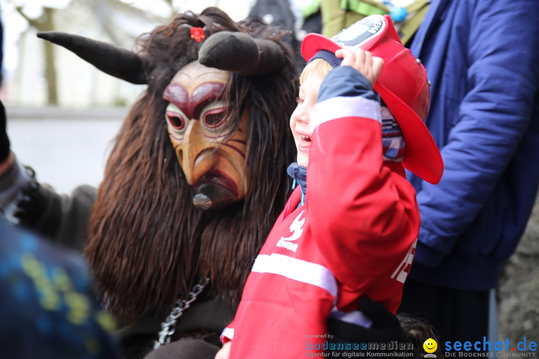 Fasnet Festumzug mit Motivwagen : Stockach am Bodensee, 01.02.2015