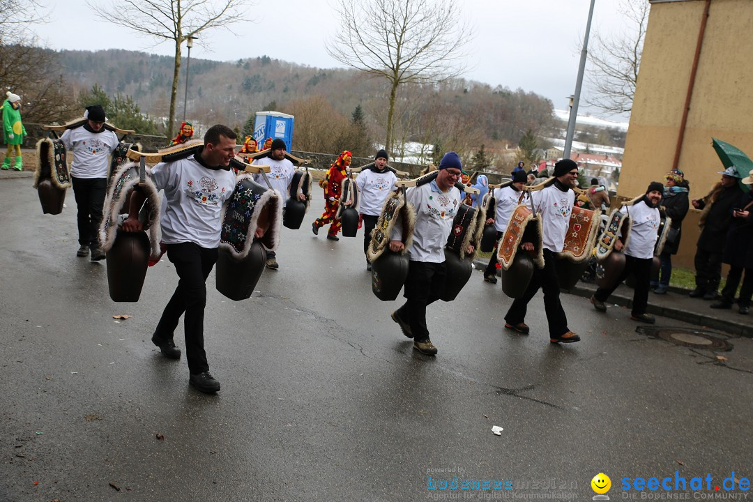 Fasnet Festumzug mit Motivwagen : Stockach am Bodensee, 01.02.2015