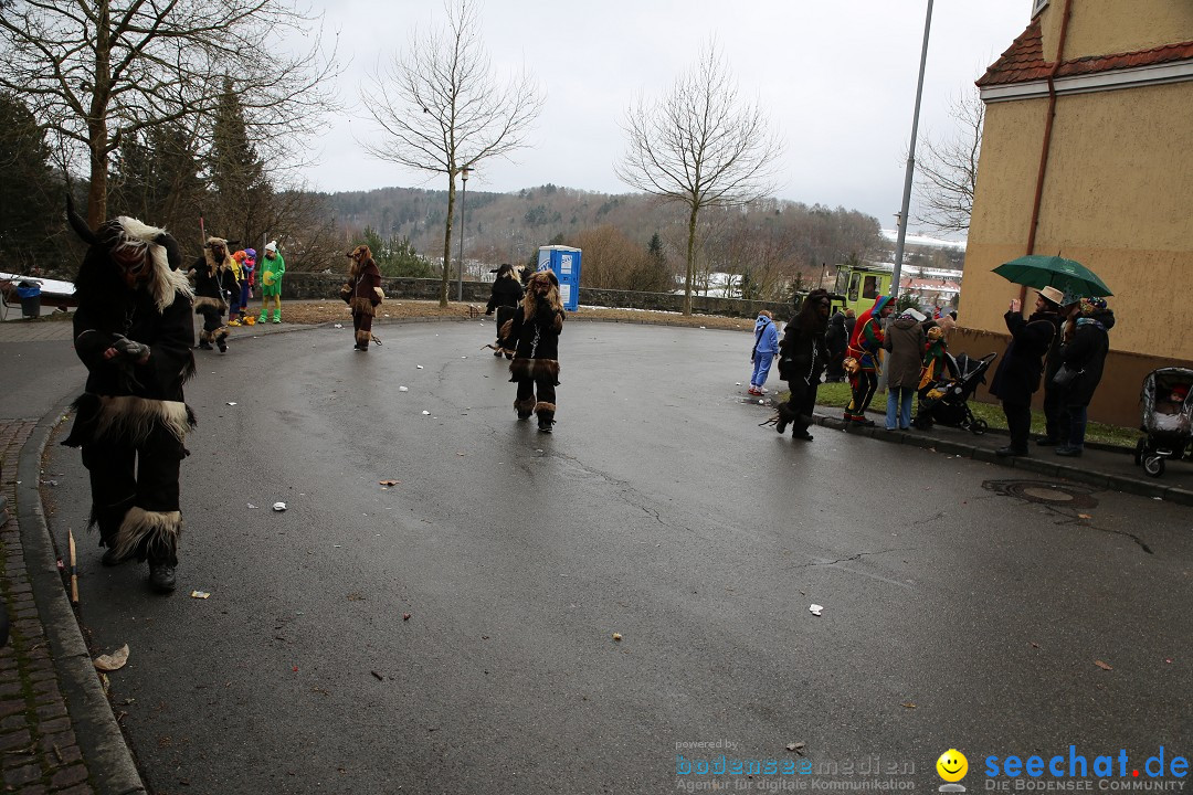 Fasnet Festumzug mit Motivwagen : Stockach am Bodensee, 01.02.2015