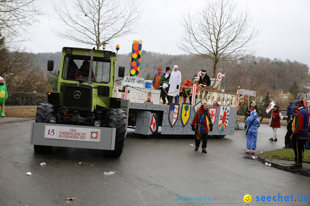 Fasnet Festumzug mit Motivwagen : Stockach am Bodensee, 01.02.2015