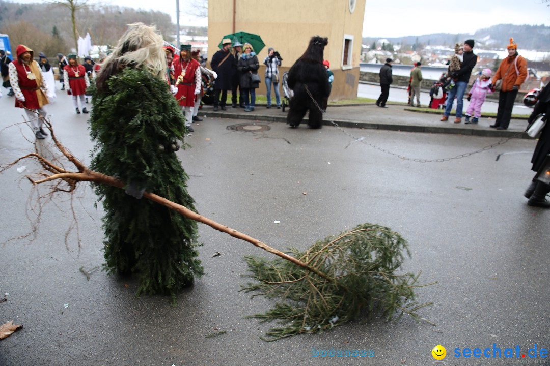 Fasnet Festumzug mit Motivwagen : Stockach am Bodensee, 01.02.2015