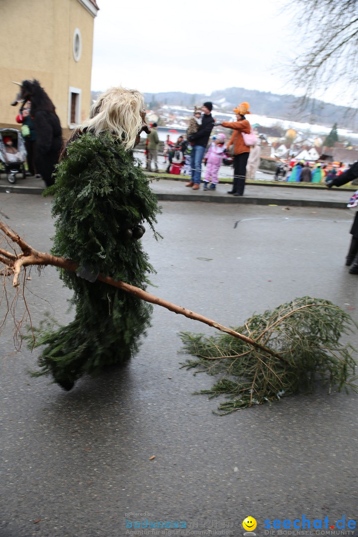 Fasnet Festumzug mit Motivwagen : Stockach am Bodensee, 01.02.2015