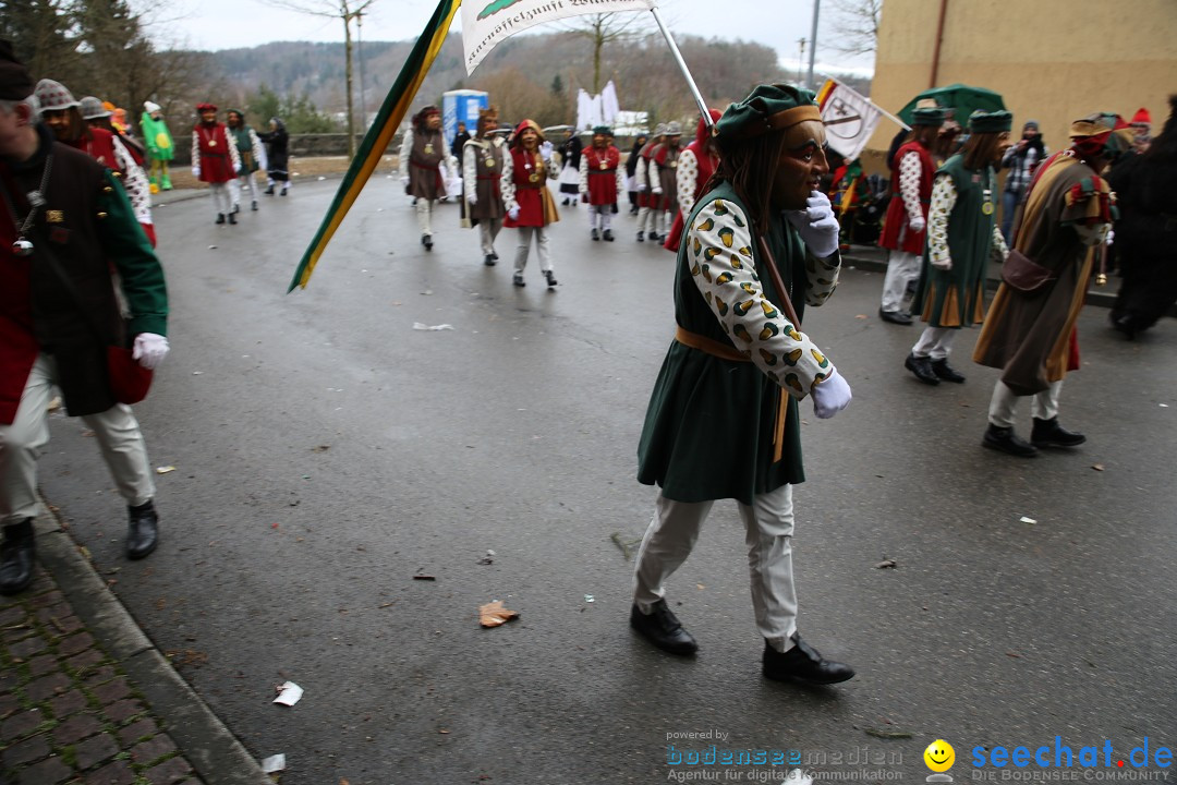 Fasnet Festumzug mit Motivwagen : Stockach am Bodensee, 01.02.2015