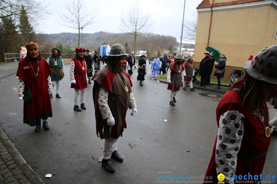 Fasnet Festumzug mit Motivwagen : Stockach am Bodensee, 01.02.2015