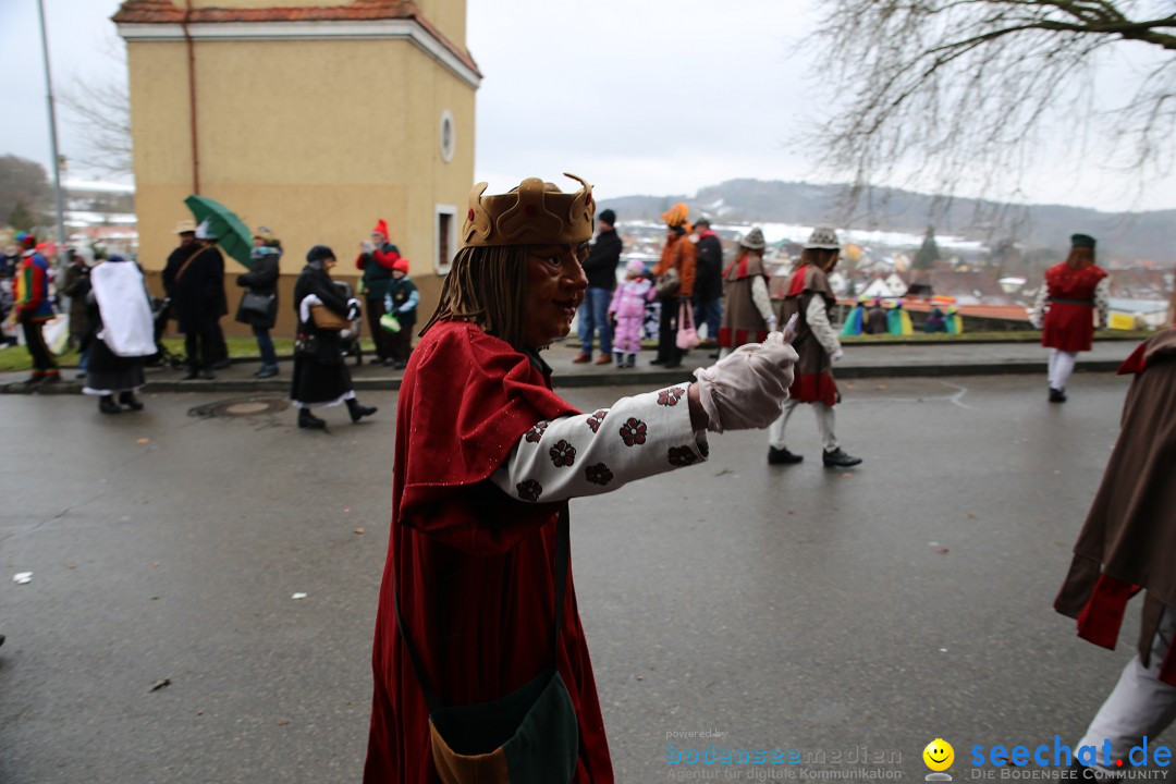 Fasnet Festumzug mit Motivwagen : Stockach am Bodensee, 01.02.2015