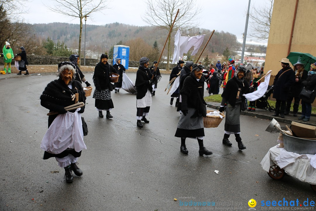 Fasnet Festumzug mit Motivwagen : Stockach am Bodensee, 01.02.2015