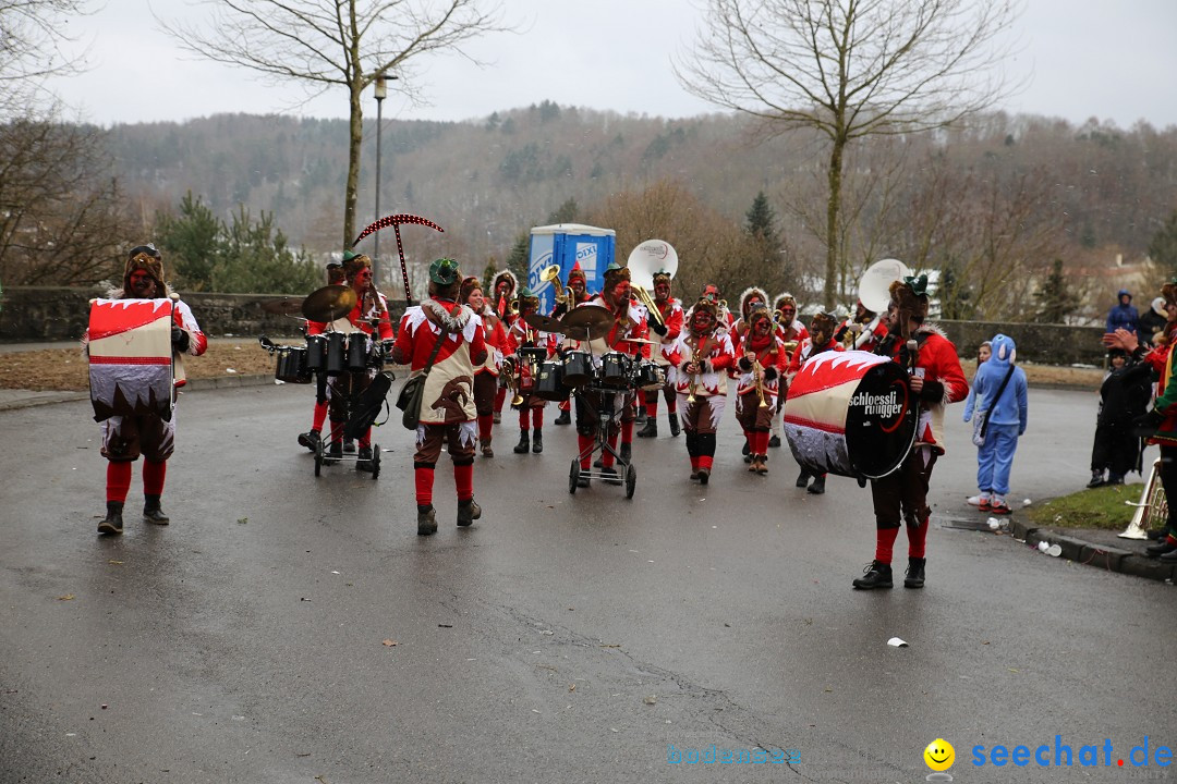 Fasnet Festumzug mit Motivwagen : Stockach am Bodensee, 01.02.2015