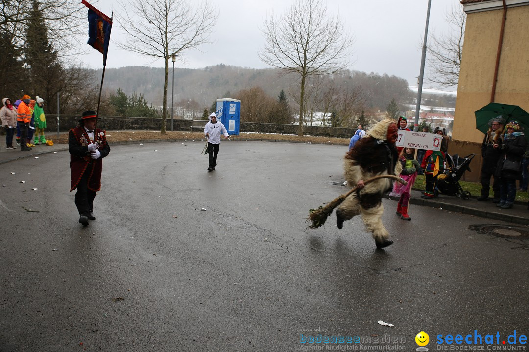 Fasnet Festumzug mit Motivwagen : Stockach am Bodensee, 01.02.2015