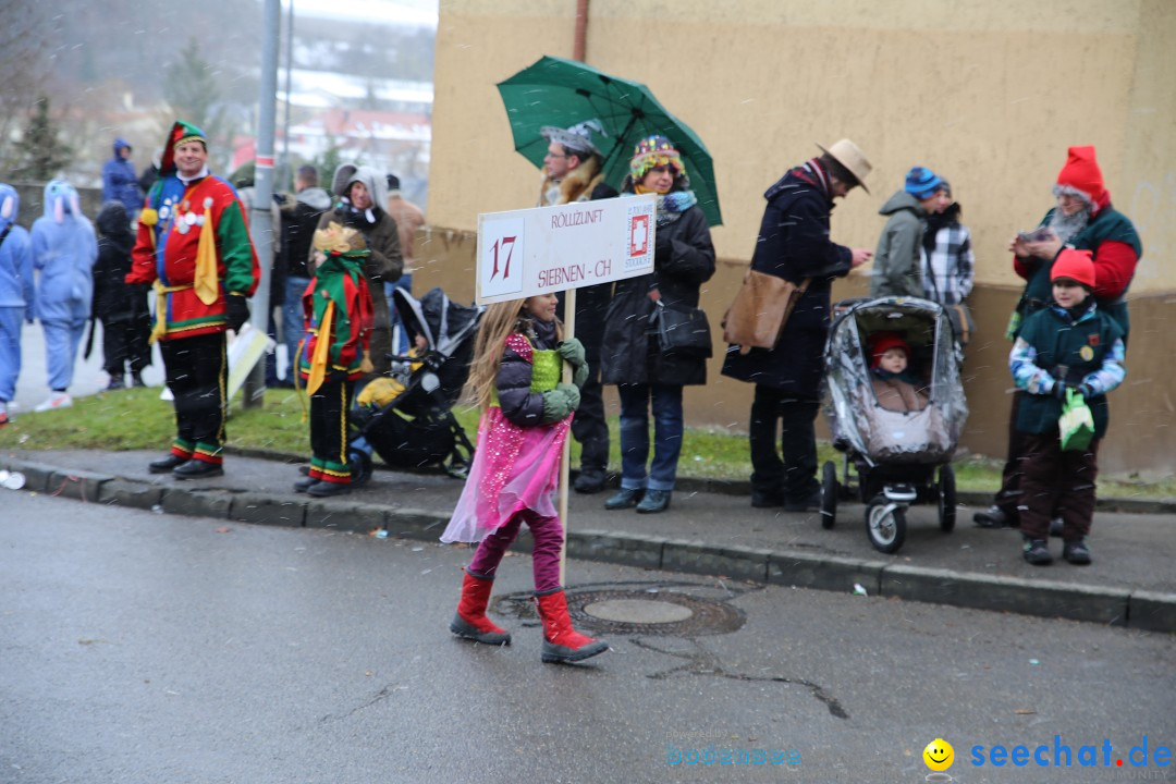 Fasnet Festumzug mit Motivwagen : Stockach am Bodensee, 01.02.2015