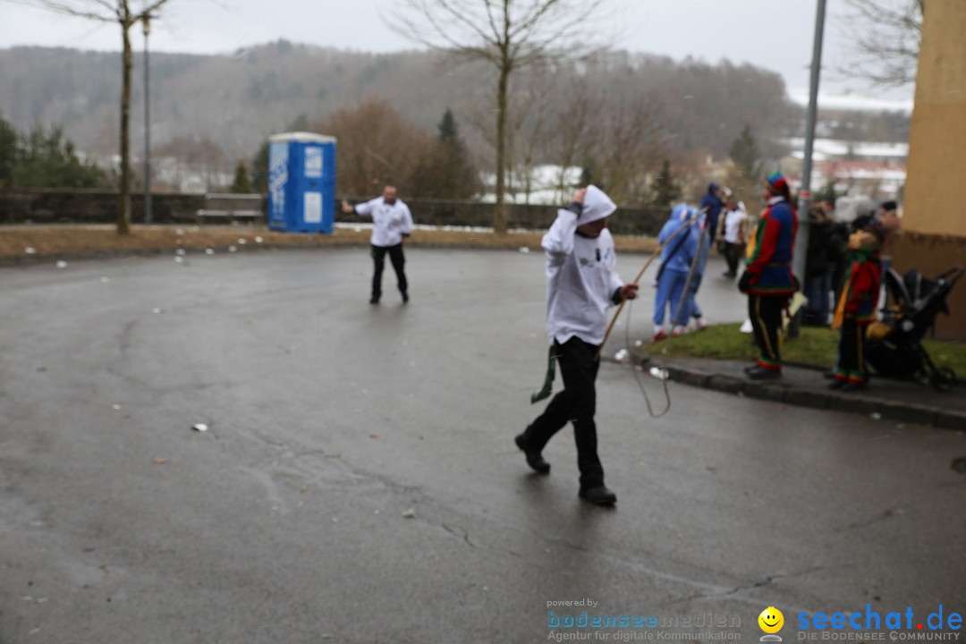 Fasnet Festumzug mit Motivwagen : Stockach am Bodensee, 01.02.2015