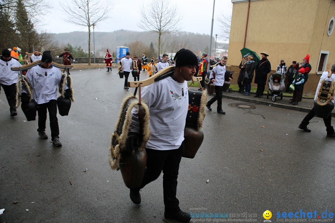 Fasnet Festumzug mit Motivwagen : Stockach am Bodensee, 01.02.2015