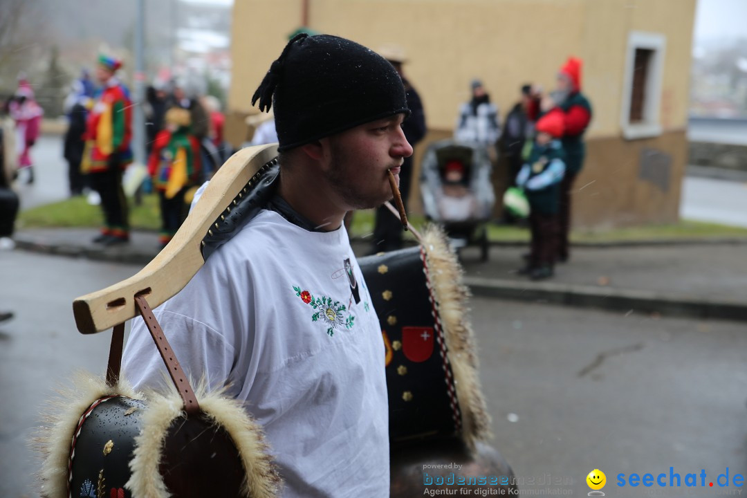 Fasnet Festumzug mit Motivwagen : Stockach am Bodensee, 01.02.2015