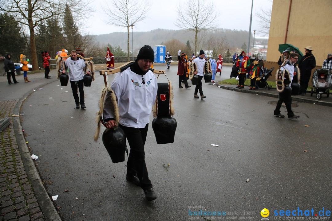 Fasnet Festumzug mit Motivwagen : Stockach am Bodensee, 01.02.2015