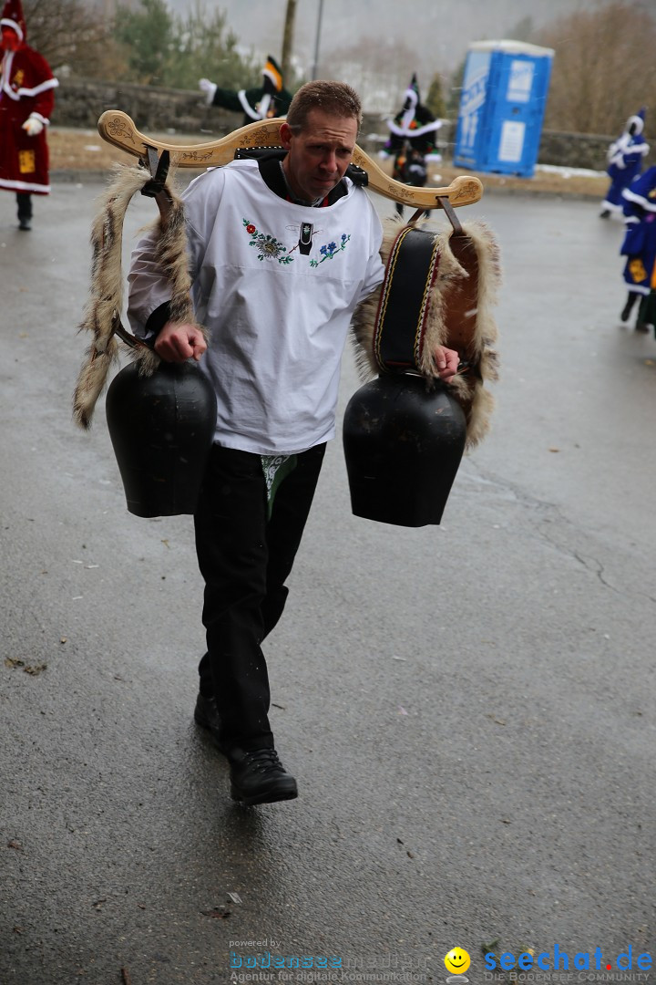 Fasnet Festumzug mit Motivwagen : Stockach am Bodensee, 01.02.2015