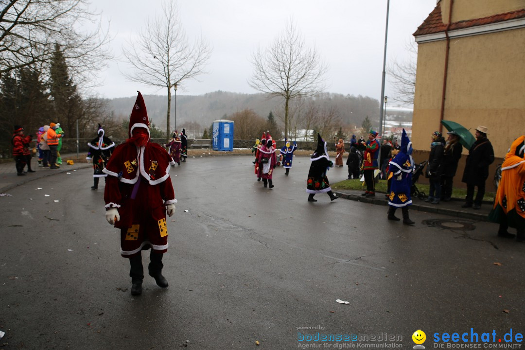 Fasnet Festumzug mit Motivwagen : Stockach am Bodensee, 01.02.2015