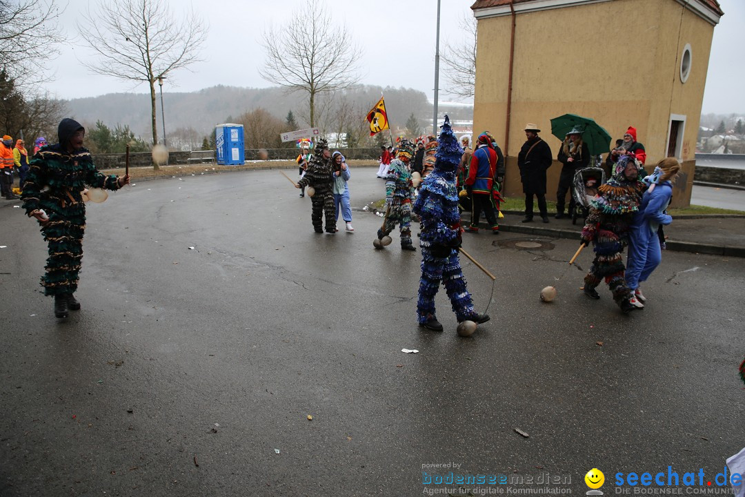 Fasnet Festumzug mit Motivwagen : Stockach am Bodensee, 01.02.2015