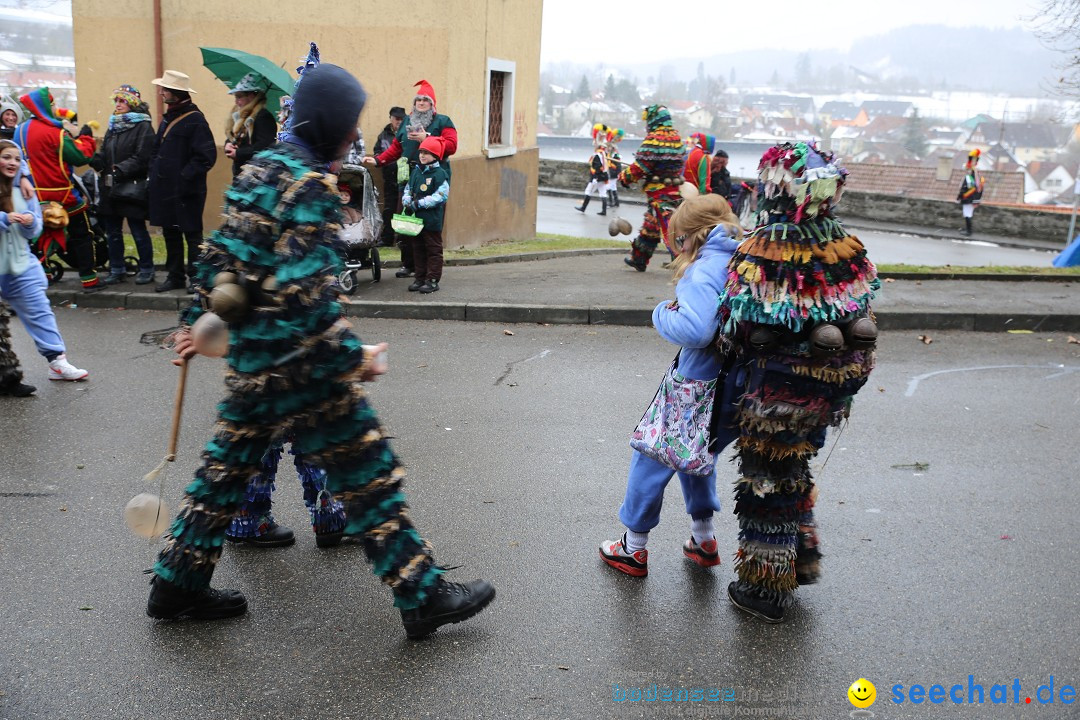 Fasnet Festumzug mit Motivwagen : Stockach am Bodensee, 01.02.2015