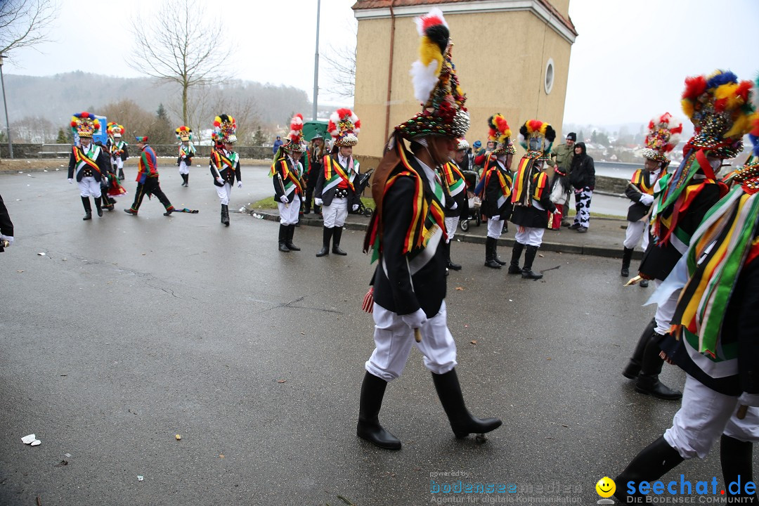 Fasnet Festumzug mit Motivwagen : Stockach am Bodensee, 01.02.2015