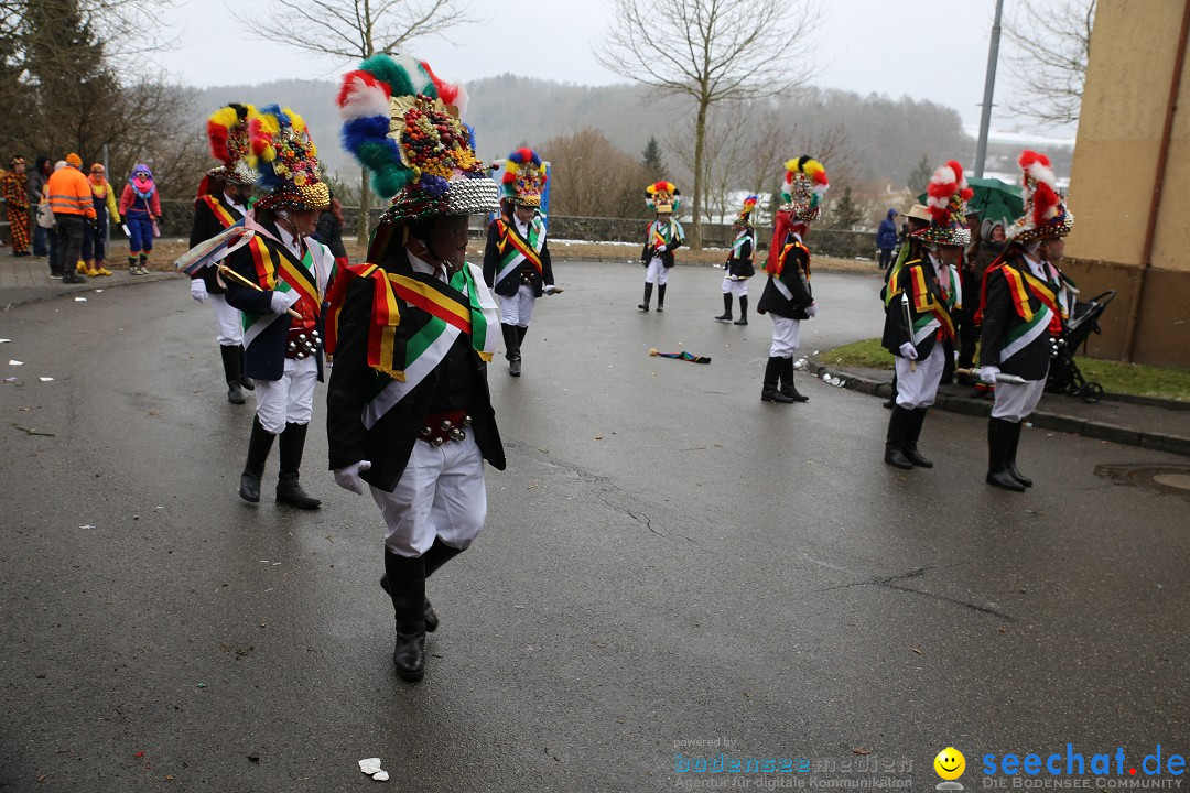 Fasnet Festumzug mit Motivwagen : Stockach am Bodensee, 01.02.2015