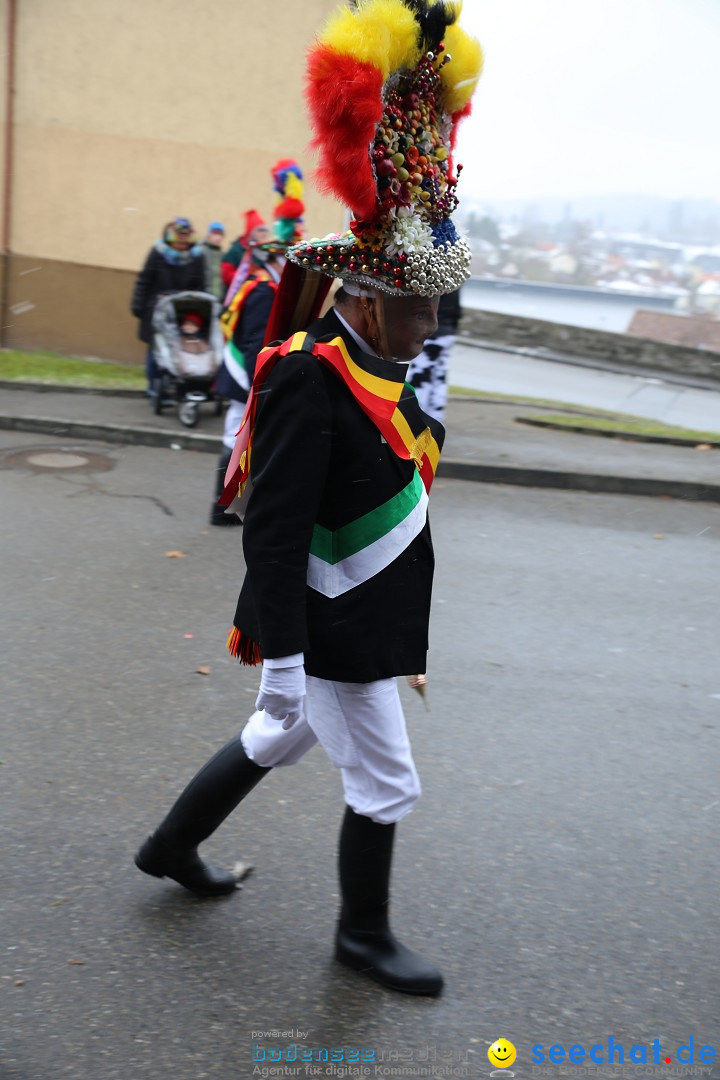 Fasnet Festumzug mit Motivwagen : Stockach am Bodensee, 01.02.2015