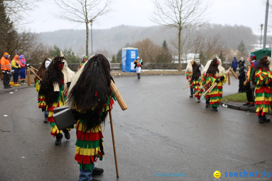 Fasnet Festumzug mit Motivwagen : Stockach am Bodensee, 01.02.2015