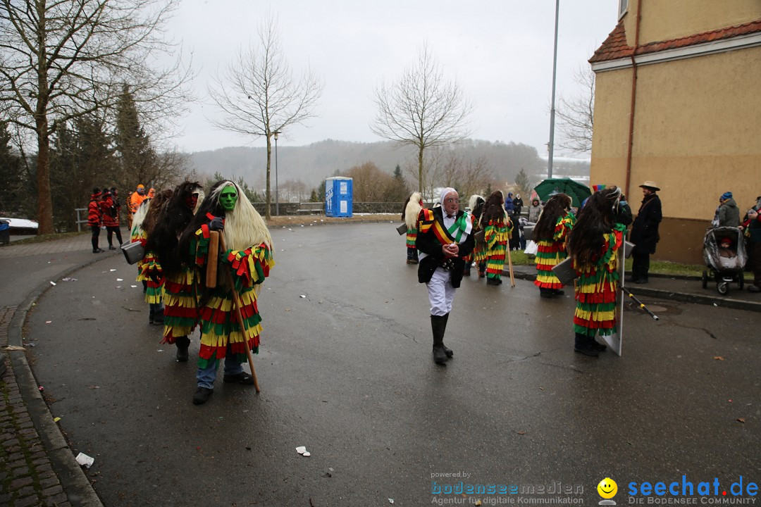 Fasnet Festumzug mit Motivwagen : Stockach am Bodensee, 01.02.2015