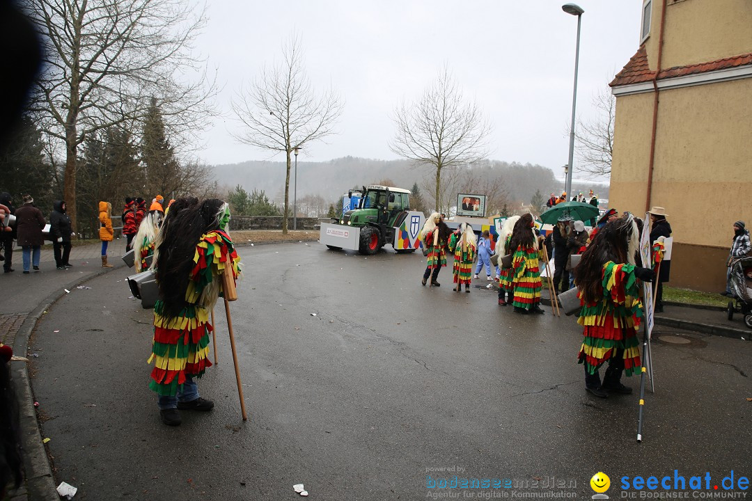 Fasnet Festumzug mit Motivwagen : Stockach am Bodensee, 01.02.2015