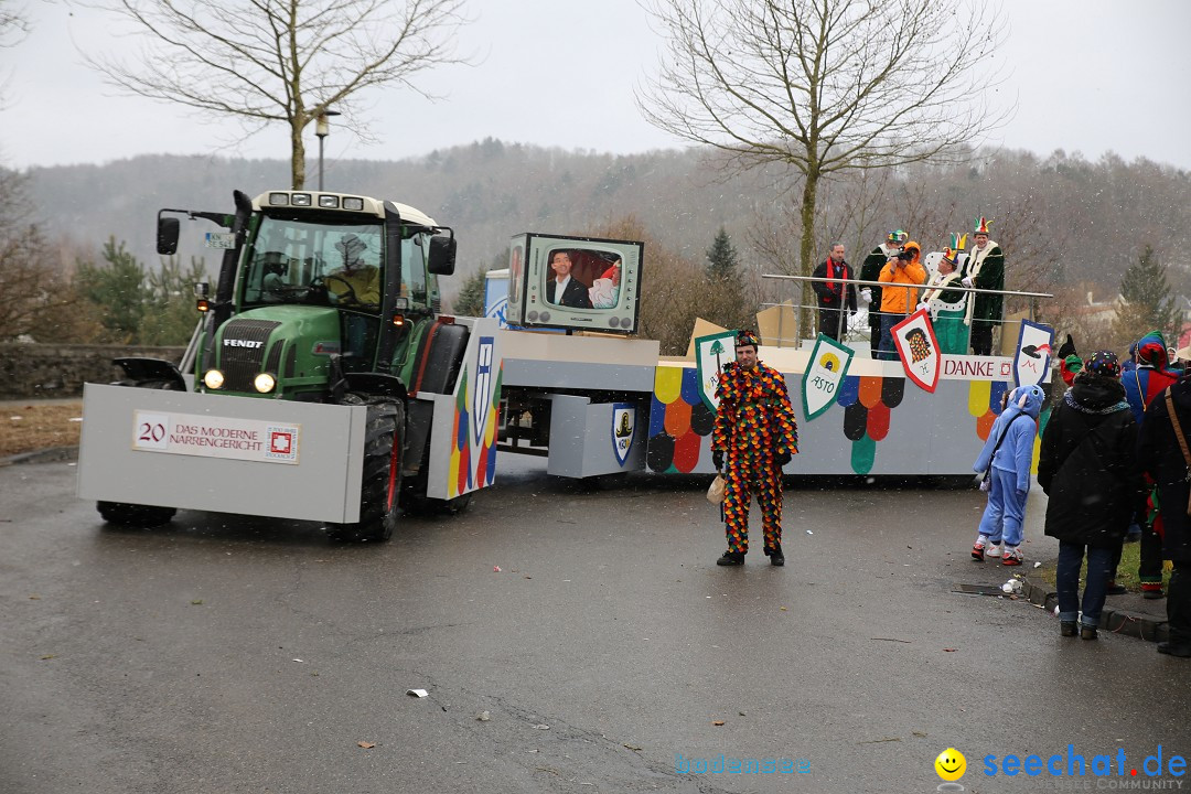 Fasnet Festumzug mit Motivwagen : Stockach am Bodensee, 01.02.2015