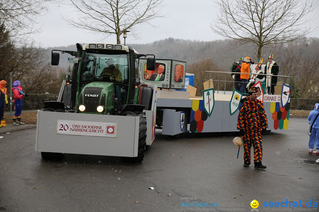 Fasnet Festumzug mit Motivwagen : Stockach am Bodensee, 01.02.2015