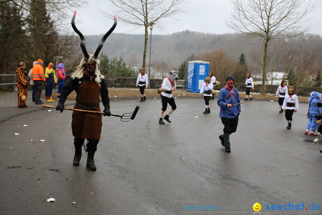 Fasnet Festumzug mit Motivwagen : Stockach am Bodensee, 01.02.2015