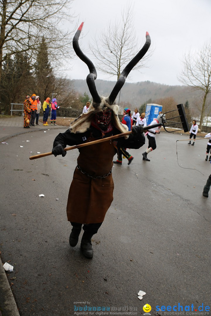 Fasnet Festumzug mit Motivwagen : Stockach am Bodensee, 01.02.2015