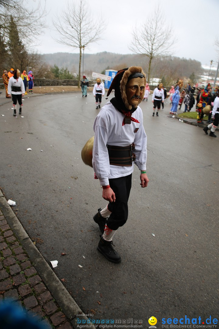 Fasnet Festumzug mit Motivwagen : Stockach am Bodensee, 01.02.2015