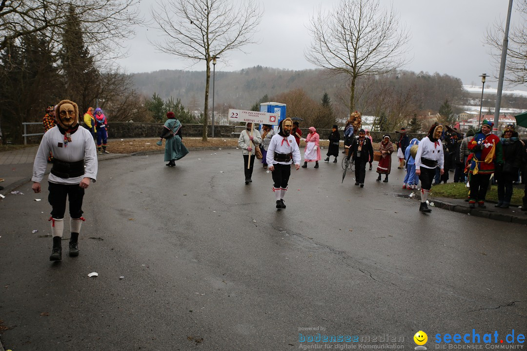 Fasnet Festumzug mit Motivwagen : Stockach am Bodensee, 01.02.2015