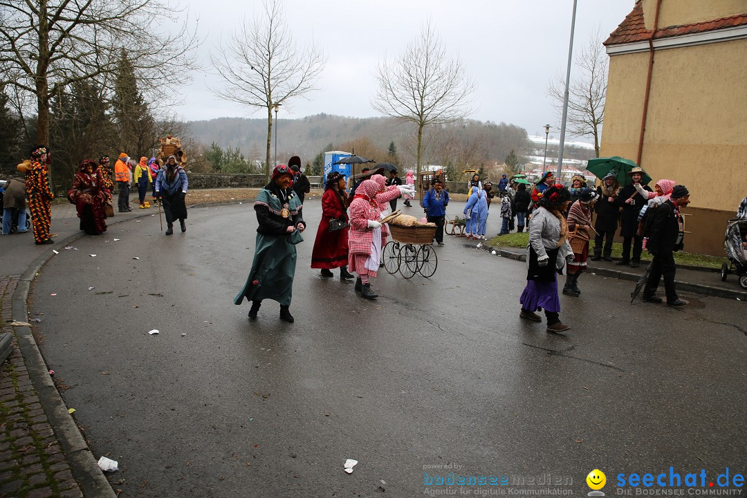 Fasnet Festumzug mit Motivwagen : Stockach am Bodensee, 01.02.2015