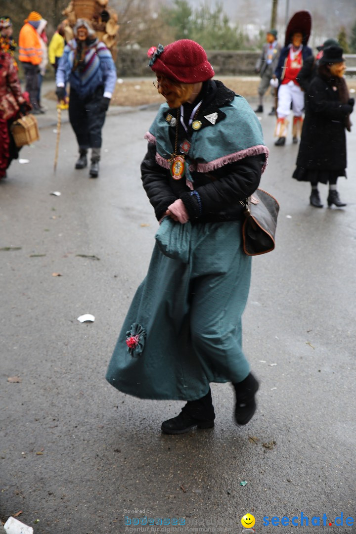 Fasnet Festumzug mit Motivwagen : Stockach am Bodensee, 01.02.2015