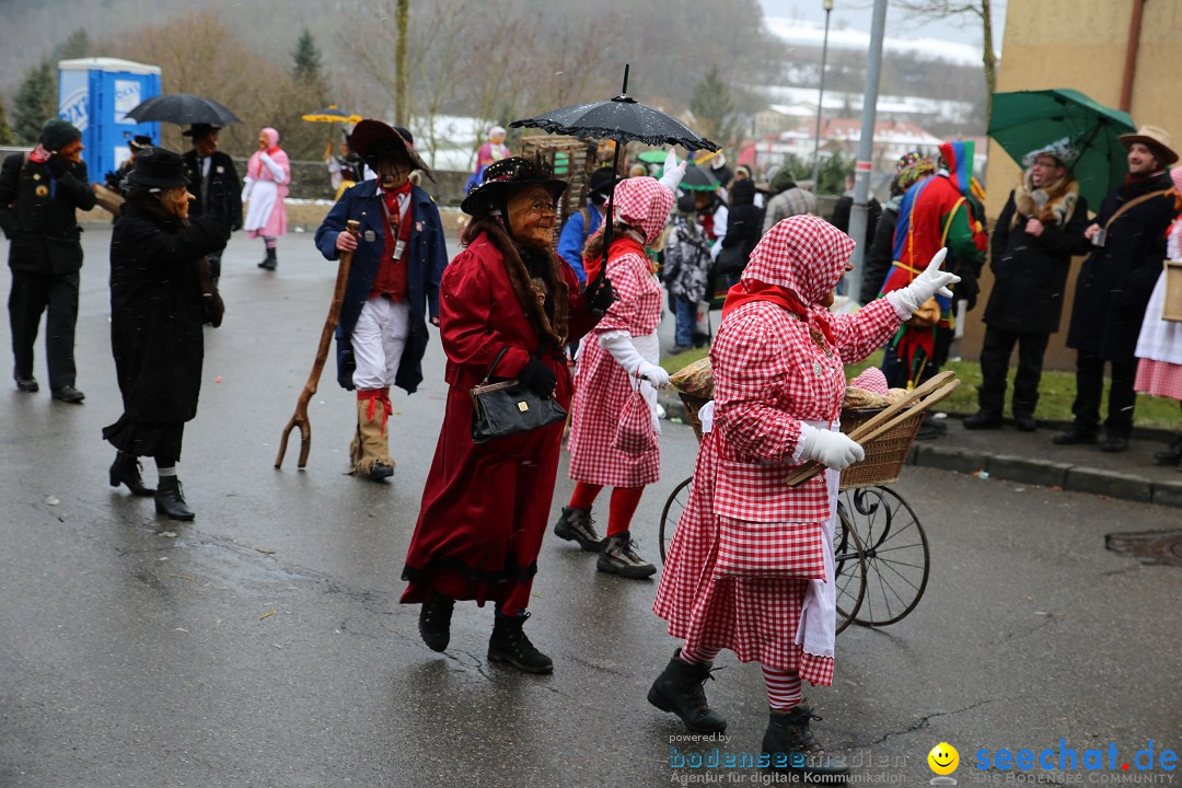 Fasnet Festumzug mit Motivwagen : Stockach am Bodensee, 01.02.2015