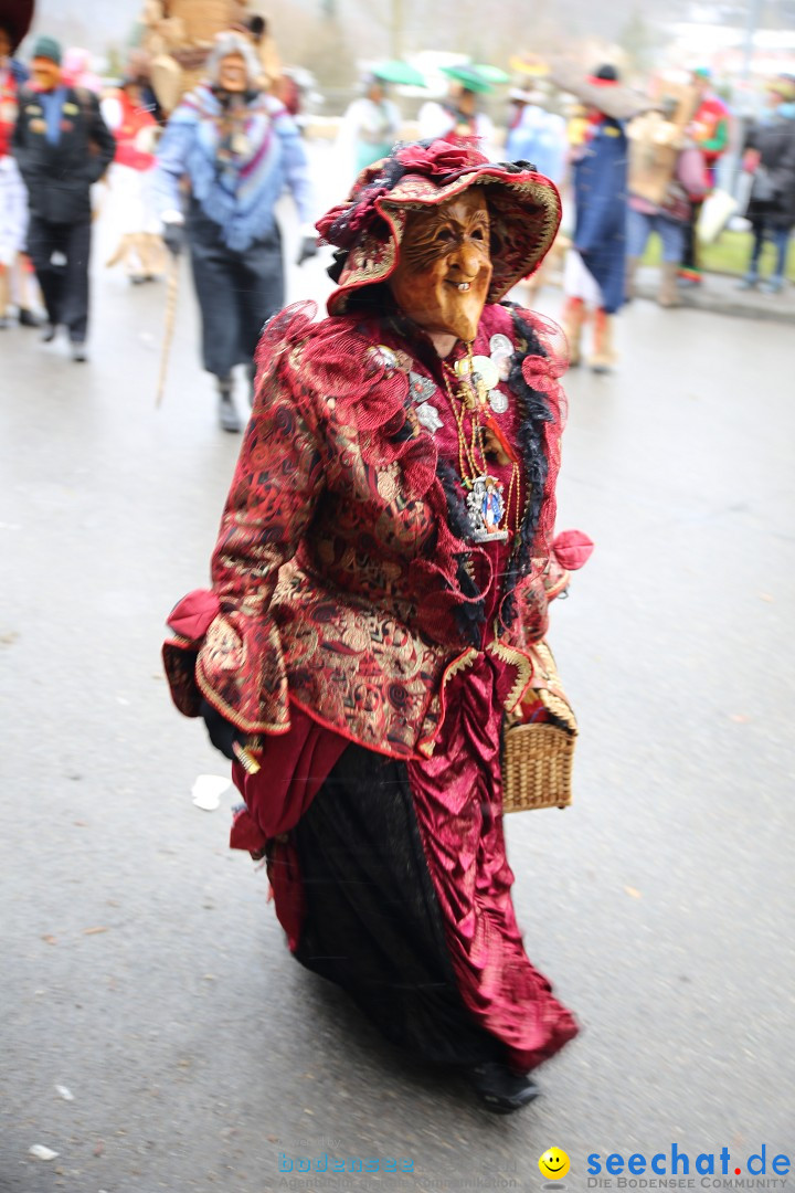 Fasnet Festumzug mit Motivwagen : Stockach am Bodensee, 01.02.2015