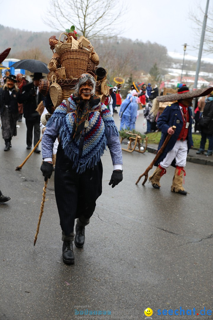 Fasnet Festumzug mit Motivwagen : Stockach am Bodensee, 01.02.2015